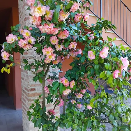 Cascina Palazzo Roddi
