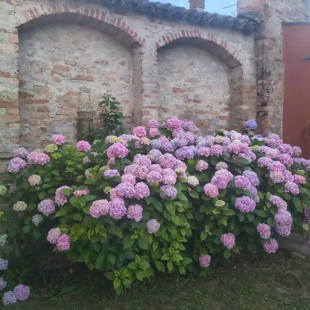Cascina Palazzo *