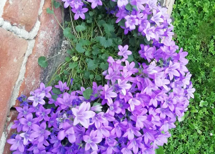 Çiftlik konaklama Cascina Palazzo Roddi